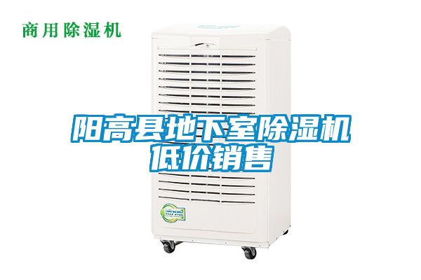 陽高縣地下室除濕機(jī)低價(jià)銷售
