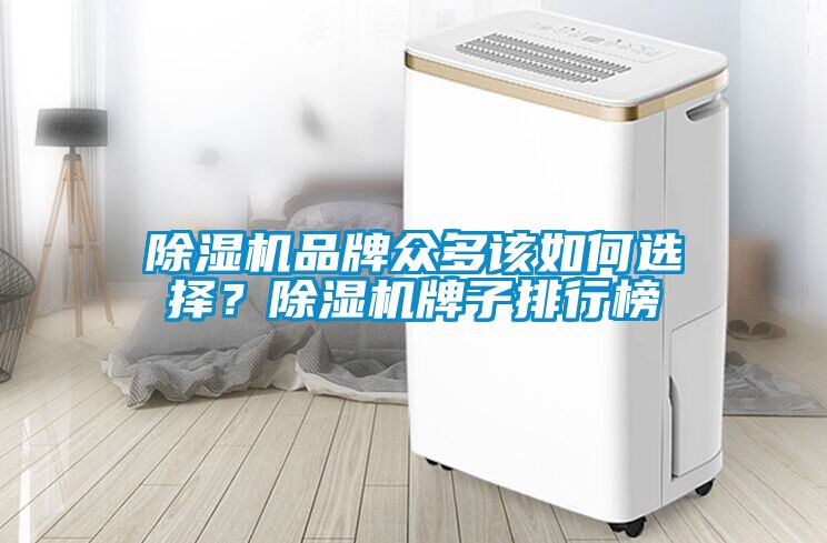 除濕機(jī)品牌眾多該如何選擇？除濕機(jī)牌子排行榜