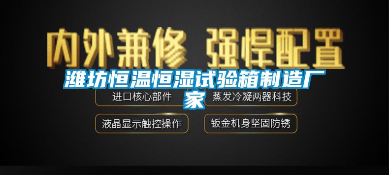 濰坊恒溫恒濕試驗(yàn)箱制造廠家