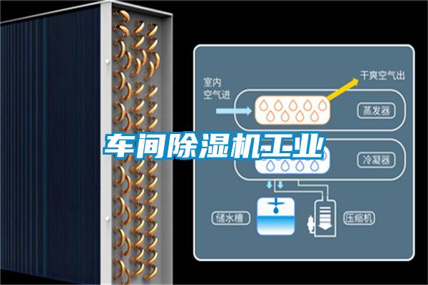 車間除濕機(jī)工業(yè)