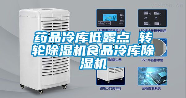 藥品冷庫低露點(diǎn) 轉(zhuǎn)輪除濕機(jī)食品冷庫除濕機(jī)