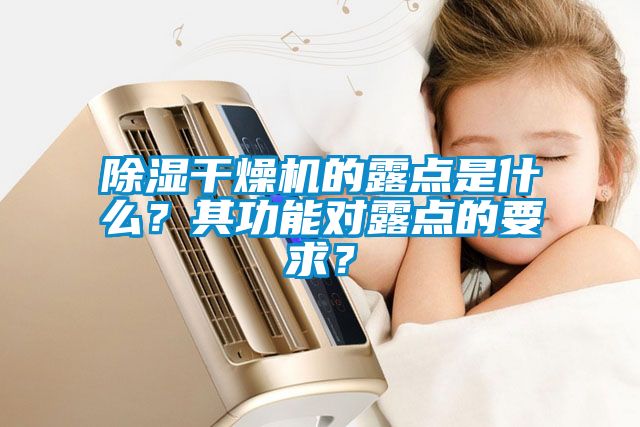 除濕干燥機(jī)的露點(diǎn)是什么？其功能對(duì)露點(diǎn)的要求？