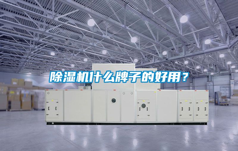 除濕機(jī)什么牌子的好用？
