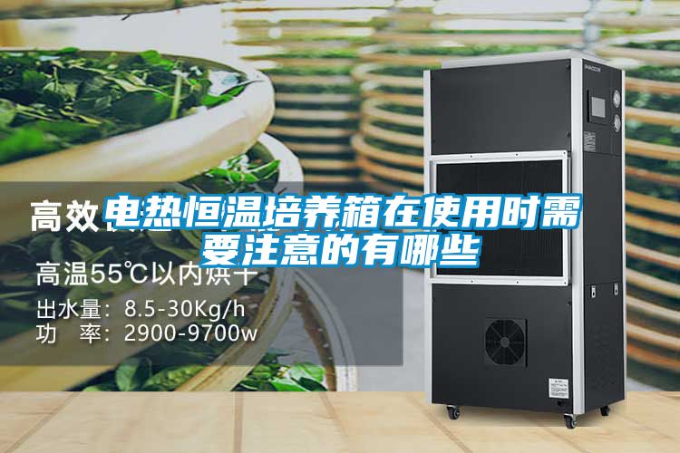 電熱恒溫培養(yǎng)箱在使用時(shí)需要注意的有哪些