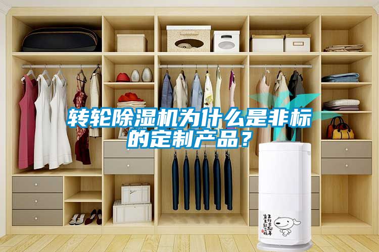 轉(zhuǎn)輪除濕機為什么是非標(biāo)的定制產(chǎn)品？