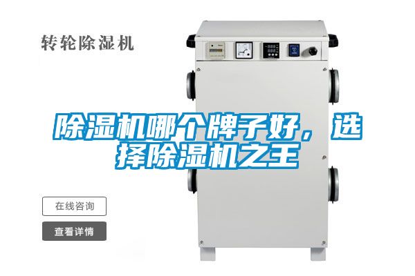 除濕機(jī)哪個牌子好，選擇除濕機(jī)之王