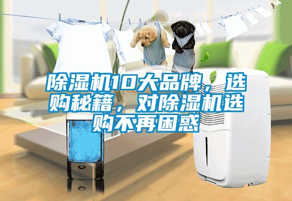 除濕機(jī)10大品牌，選購秘籍，對(duì)除濕機(jī)選購不再困惑