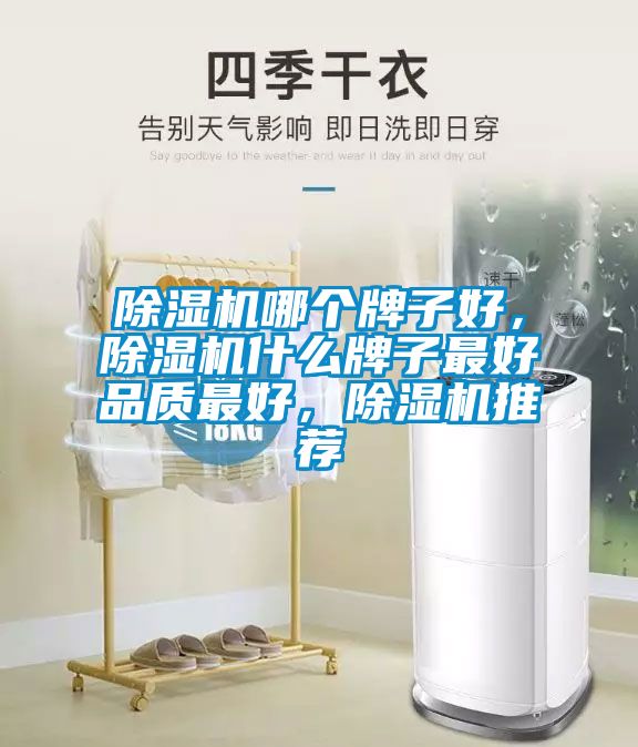 除濕機(jī)哪個(gè)牌子好，除濕機(jī)什么牌子最好品質(zhì)最好，除濕機(jī)推薦