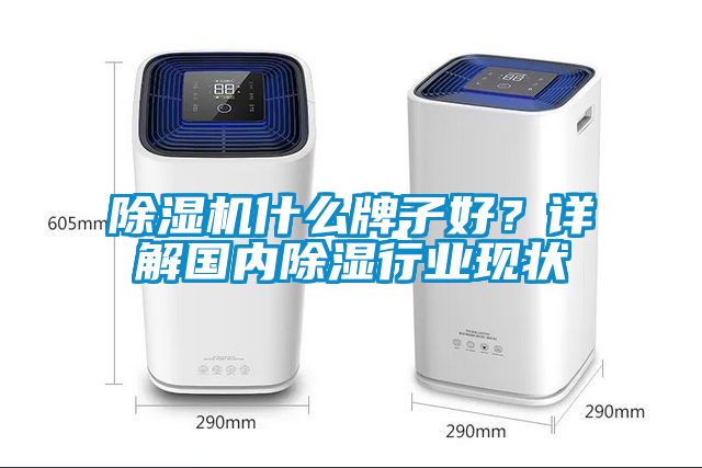 除濕機(jī)什么牌子好？詳解國內(nèi)除濕行業(yè)現(xiàn)狀