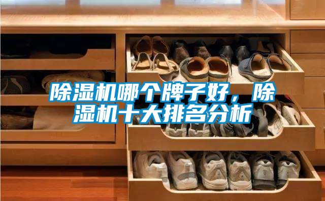 除濕機哪個牌子好，除濕機十大排名分析