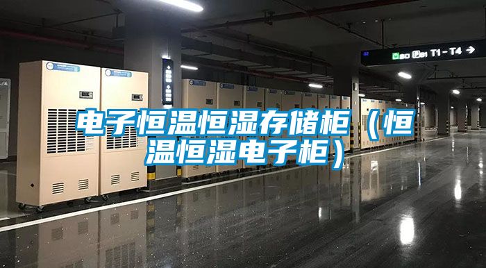 電子恒溫恒濕存儲(chǔ)柜（恒溫恒濕電子柜）