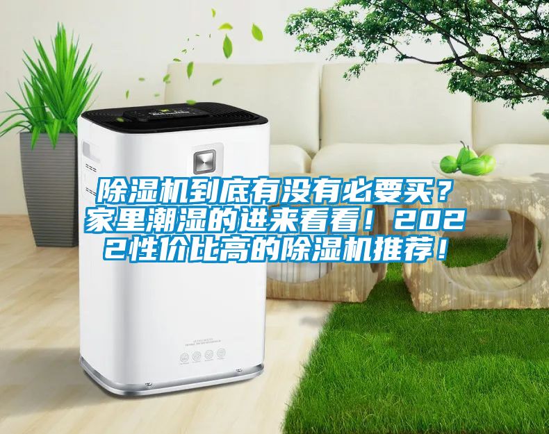 除濕機(jī)到底有沒有必要買？家里潮濕的進(jìn)來看看！2022性價比高的除濕機(jī)推薦！