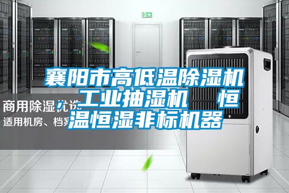 襄陽市高低溫除濕機(jī)，工業(yè)抽濕機(jī)  恒溫恒濕非標(biāo)機(jī)器