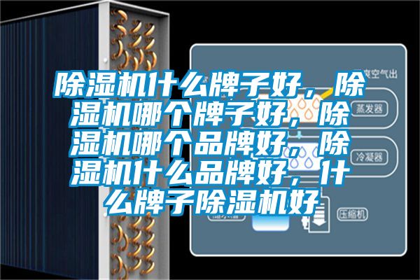 除濕機(jī)什么牌子好，除濕機(jī)哪個牌子好，除濕機(jī)哪個品牌好，除濕機(jī)什么品牌好，什么牌子除濕機(jī)好