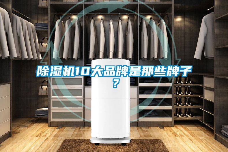 除濕機(jī)10大品牌是那些牌子？