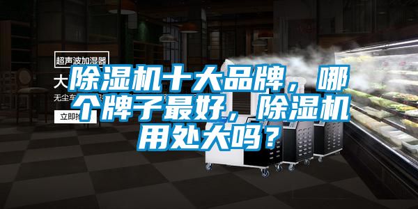 除濕機(jī)十大品牌，哪個(gè)牌子最好，除濕機(jī)用處大嗎？