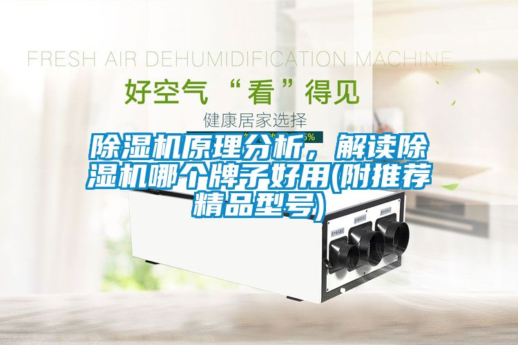 除濕機原理分析，解讀除濕機哪個牌子好用(附推薦精品型號)