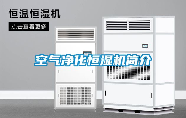 空氣凈化恒濕機(jī)簡(jiǎn)介