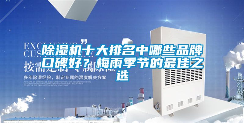 除濕機十大排名中哪些品牌口碑好？梅雨季節(jié)的最佳之選