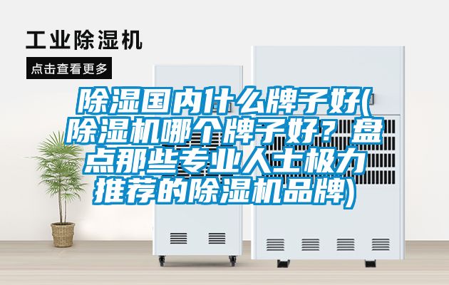 除濕國內(nèi)什么牌子好(除濕機(jī)哪個(gè)牌子好？盤點(diǎn)那些專業(yè)人士極力推薦的除濕機(jī)品牌)