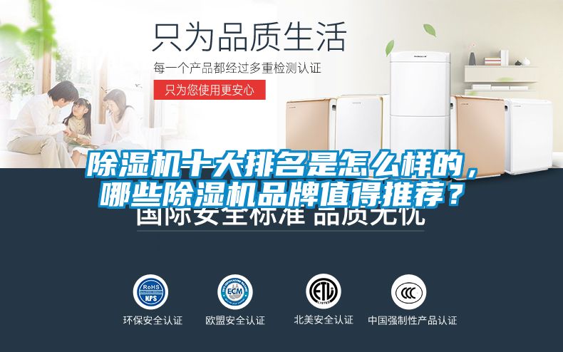 除濕機十大排名是怎么樣的，哪些除濕機品牌值得推薦？