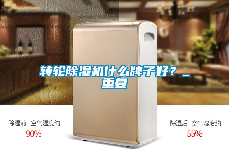 轉(zhuǎn)輪除濕機什么牌子好？_重復(fù)