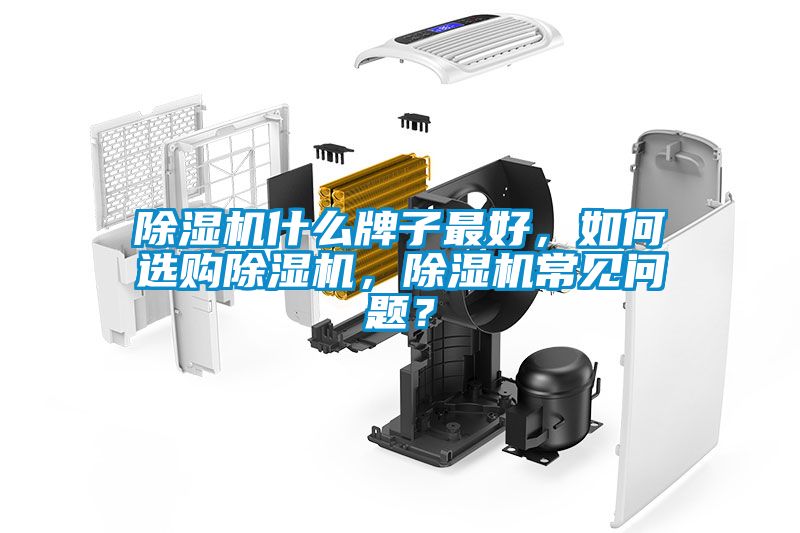 除濕機什么牌子最好，如何選購除濕機，除濕機常見問題？
