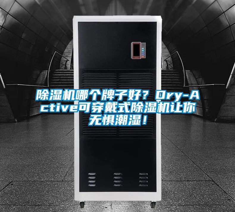 除濕機(jī)哪個(gè)牌子好？Dry-Active可穿戴式除濕機(jī)讓你無(wú)懼潮濕！
