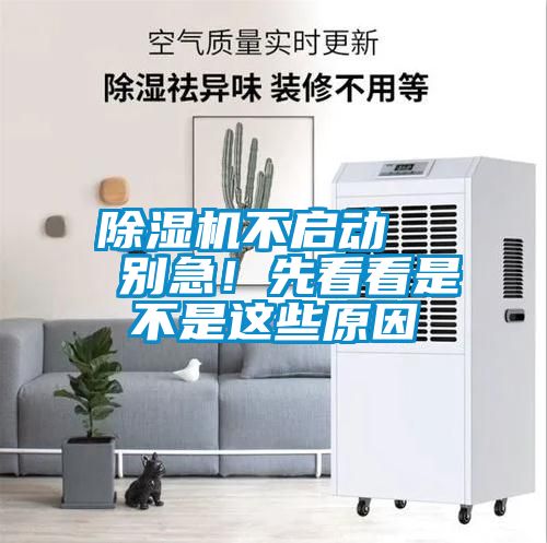 除濕機(jī)不啟動   別急！先看看是不是這些原因
