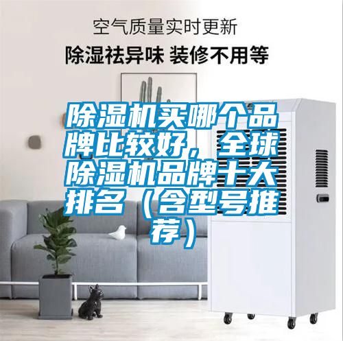 除濕機買哪個品牌比較好，全球除濕機品牌十大排名（含型號推薦）