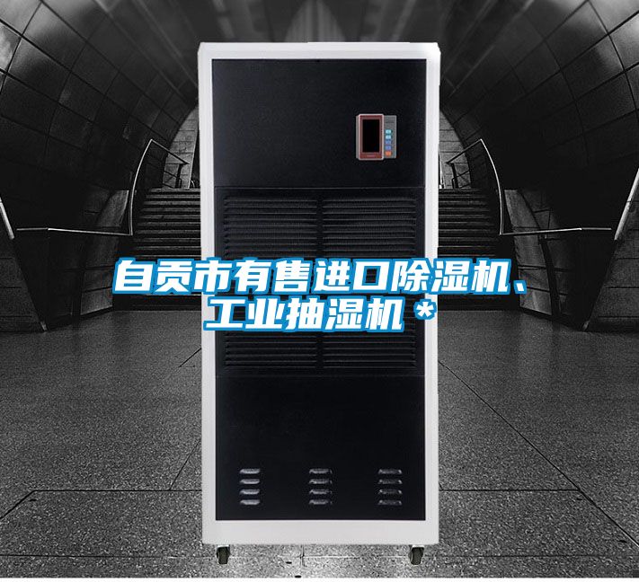 自貢市有售進(jìn)口除濕機(jī)、工業(yè)抽濕機(jī)＊