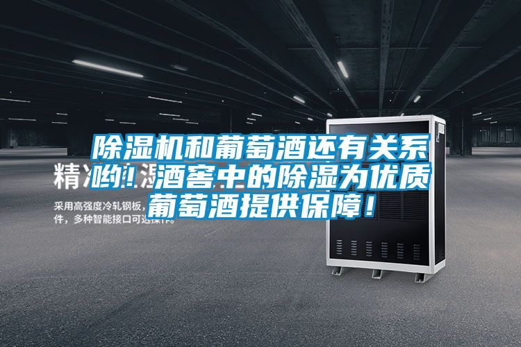 除濕機(jī)和葡萄酒還有關(guān)系喲！酒窖中的除濕為優(yōu)質(zhì)葡萄酒提供保障！