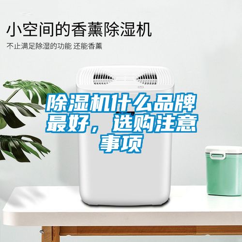 除濕機什么品牌最好，選購注意事項