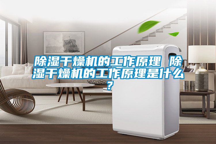 除濕干燥機(jī)的工作原理 除濕干燥機(jī)的工作原理是什么？