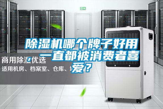 除濕機(jī)哪個(gè)牌子好用，一直都被消費(fèi)者喜愛？