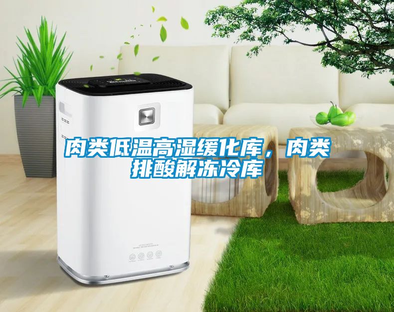 肉類低溫高濕緩化庫，肉類排酸解凍冷庫
