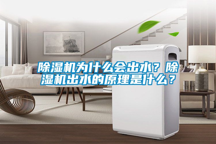 除濕機(jī)為什么會(huì)出水？除濕機(jī)出水的原理是什么？