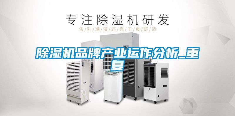 除濕機品牌產(chǎn)業(yè)運作分析_重復(fù)