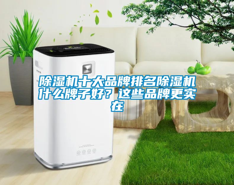 除濕機(jī)十大品牌排名除濕機(jī)什么牌子好？這些品牌更實(shí)在