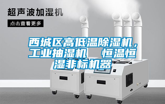 西城區(qū)高低溫除濕機(jī)，工業(yè)抽濕機(jī)  恒溫恒濕非標(biāo)機(jī)器