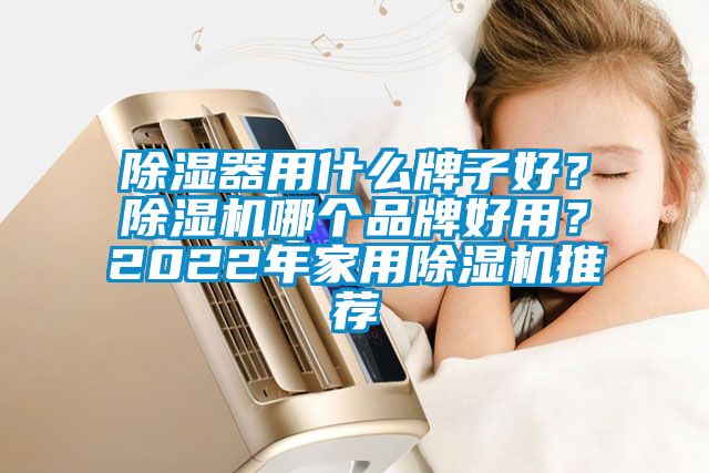 除濕器用什么牌子好？除濕機哪個品牌好用？2022年家用除濕機推薦