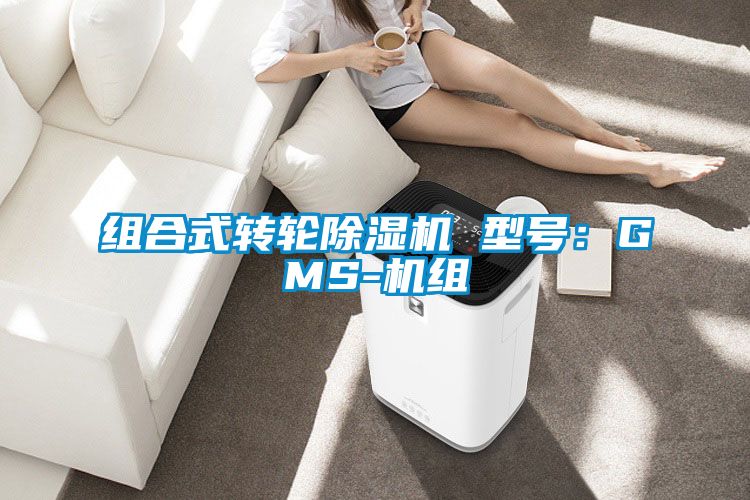 組合式轉(zhuǎn)輪除濕機 型號：GMS-機組