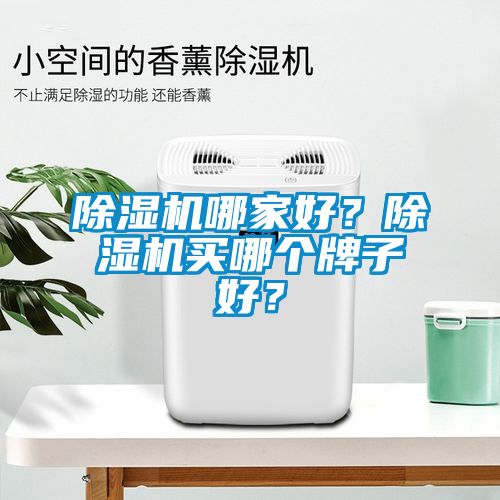 除濕機(jī)哪家好？除濕機(jī)買哪個(gè)牌子好？