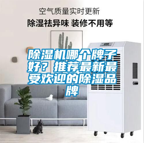 除濕機(jī)哪個牌子好？推薦最新最受歡迎的除濕品牌