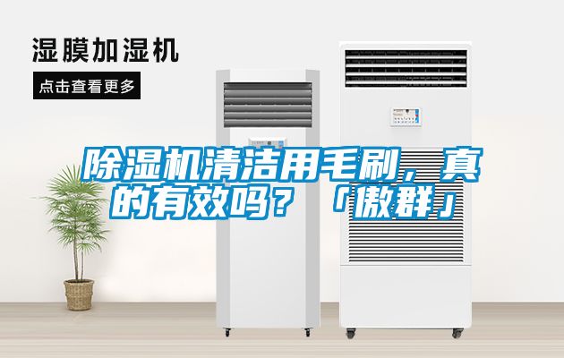除濕機(jī)清潔用毛刷，真的有效嗎？「傲群」