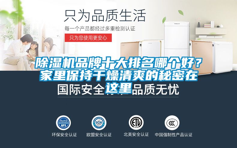 除濕機(jī)品牌十大排名哪個(gè)好？家里保持干燥清爽的秘密在這里