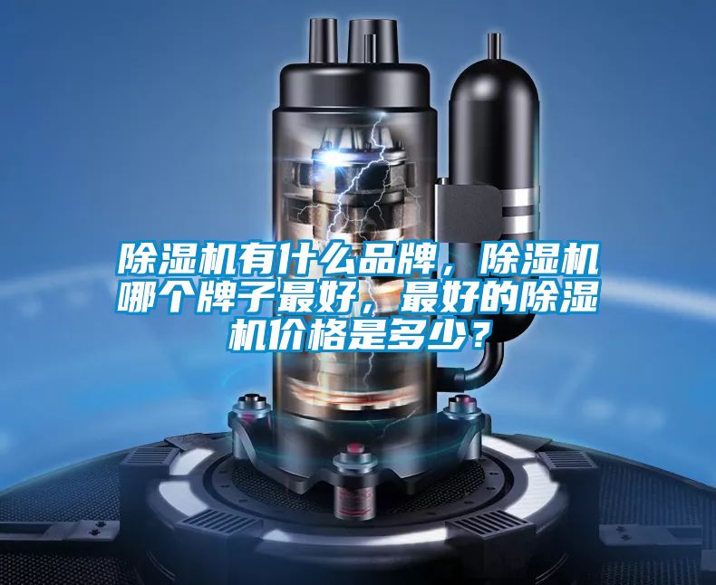 除濕機(jī)有什么品牌，除濕機(jī)哪個(gè)牌子最好，最好的除濕機(jī)價(jià)格是多少？