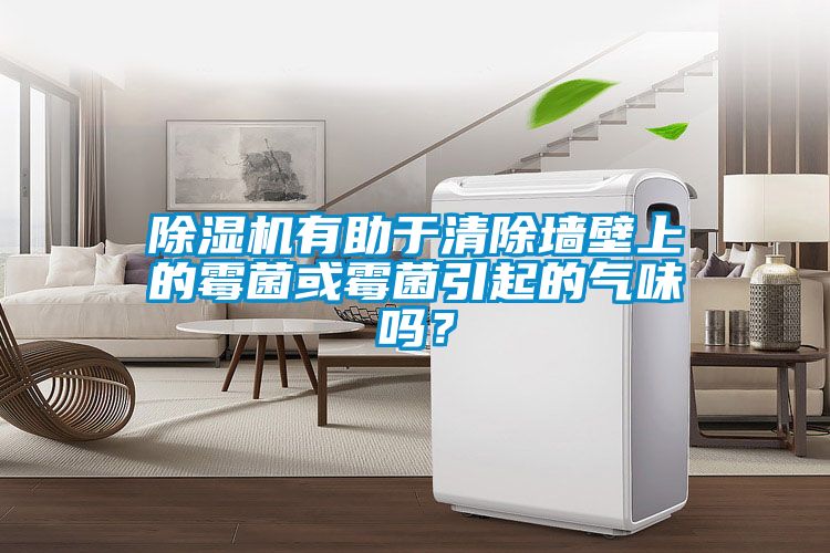 除濕機(jī)有助于清除墻壁上的霉菌或霉菌引起的氣味嗎？