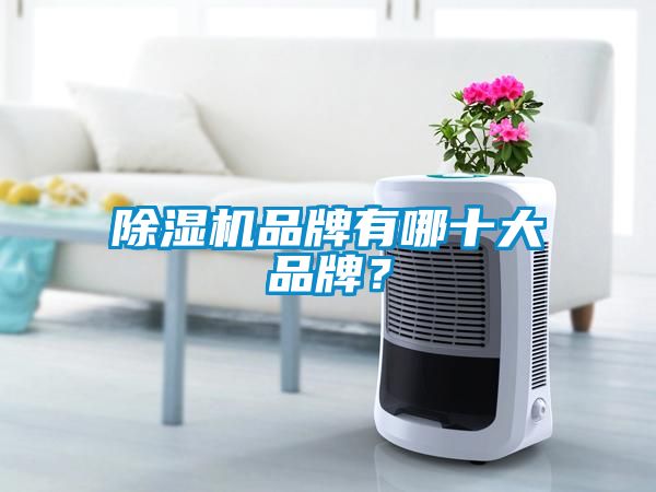 除濕機(jī)品牌有哪十大品牌？