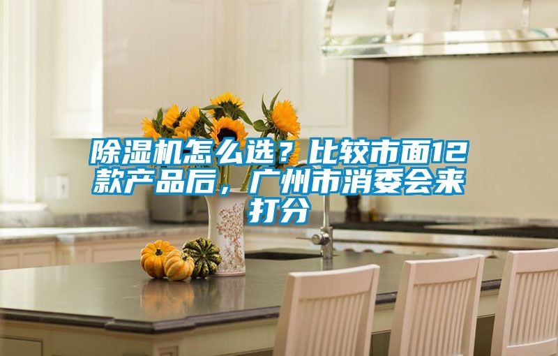 除濕機(jī)怎么選？比較市面12款產(chǎn)品后，廣州市消委會(huì)來打分